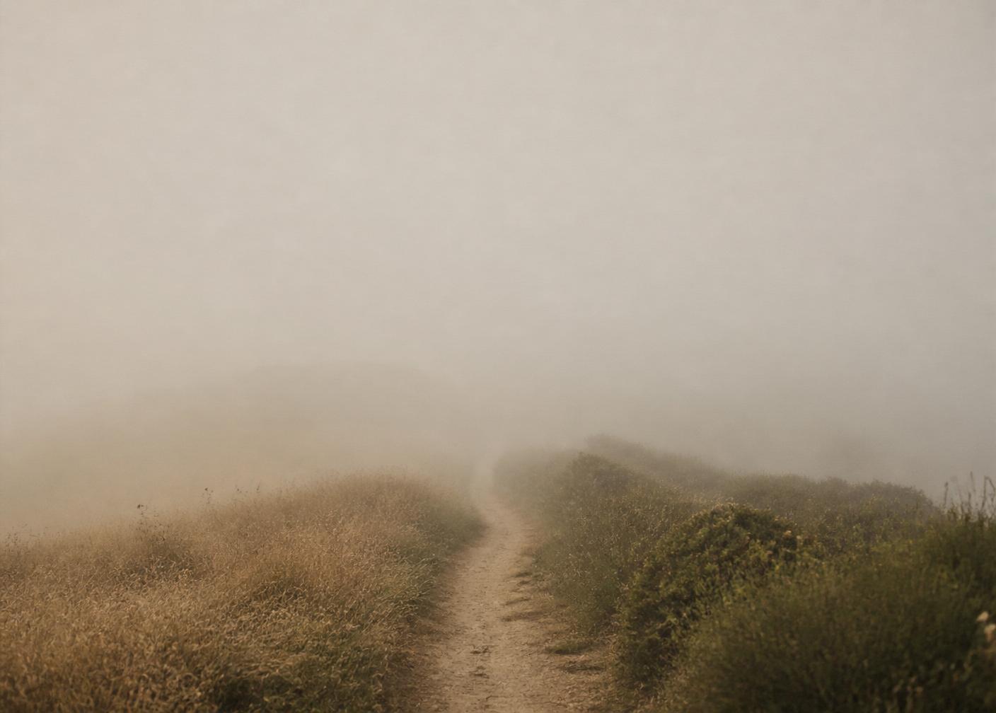 Camino sereno entre la bruma al amanecer